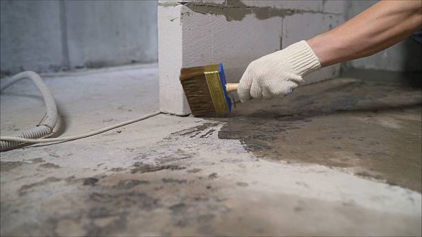 SJ Waterproofing Pros Emergency Waterproofing coverage map for Alpine, AL and surrounding area